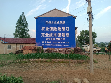 眉山墙体广告为何受追捧？